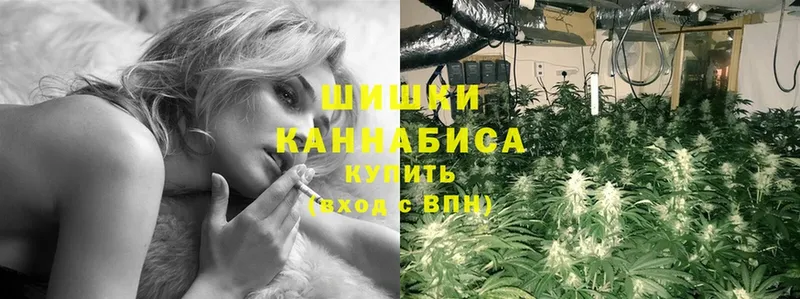 наркошоп  Любань  Каннабис White Widow 